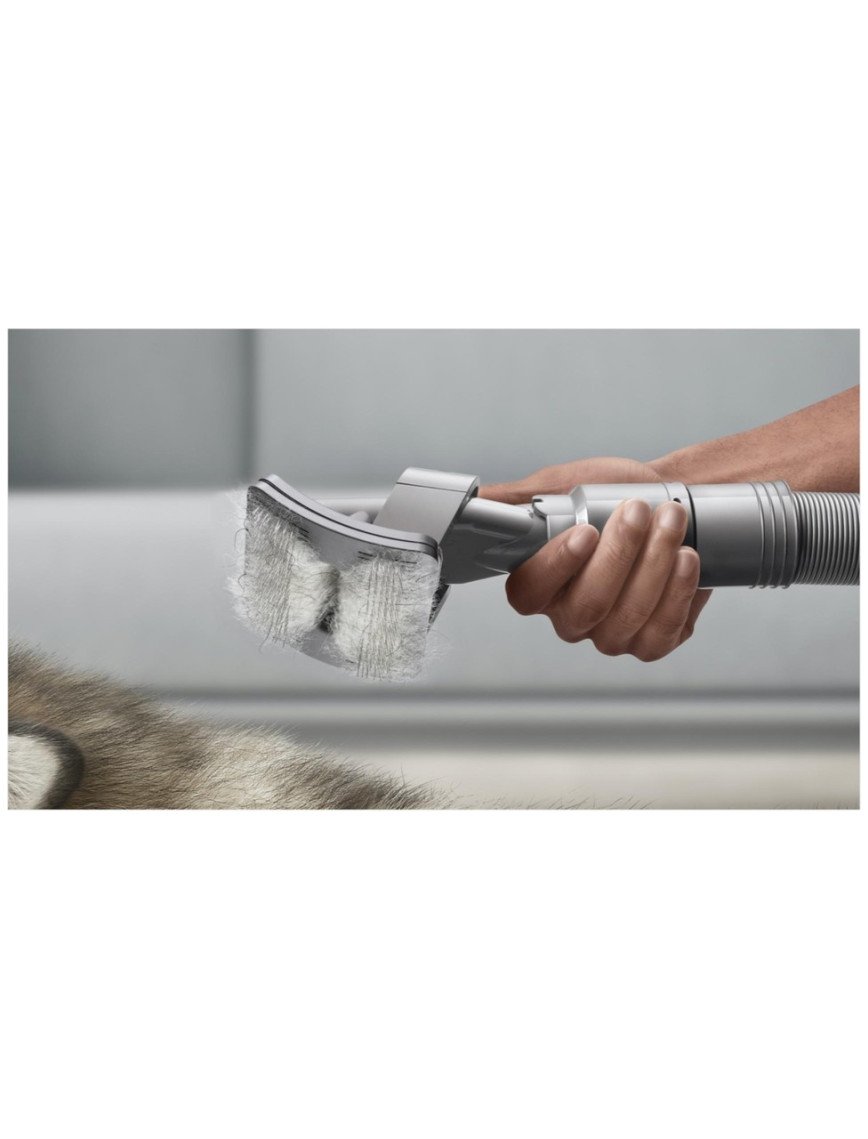 Dyson Evcil Hayvan Bakım Seti